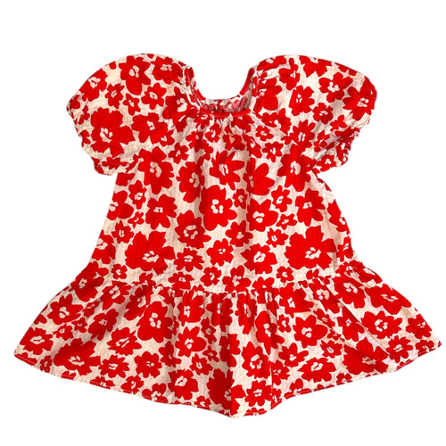 NEW Floral Dress, 18-24m // Zara